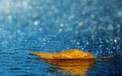 <b>暴雨天氣實用應對措施指南?</b>
